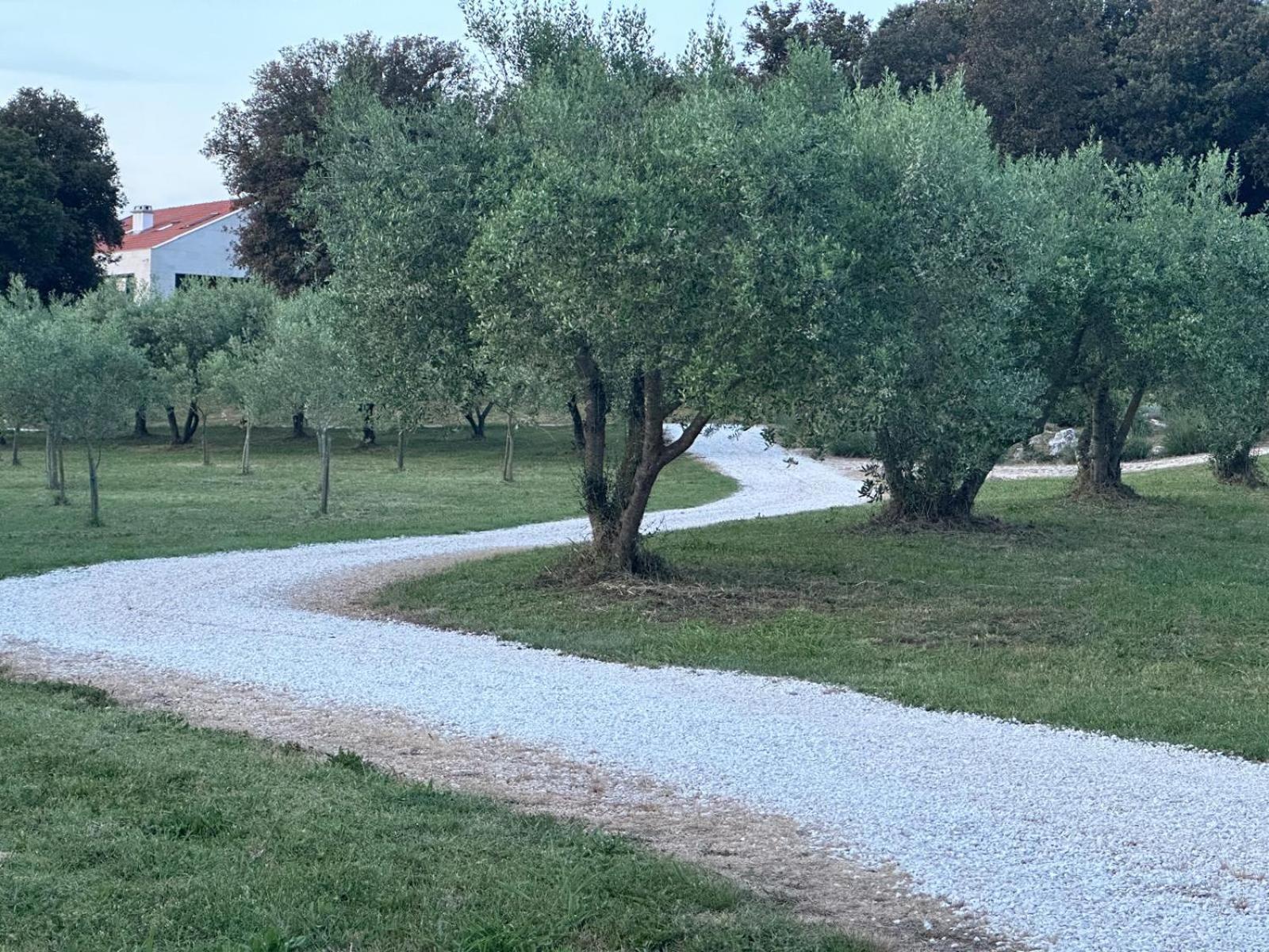 Tramonto *